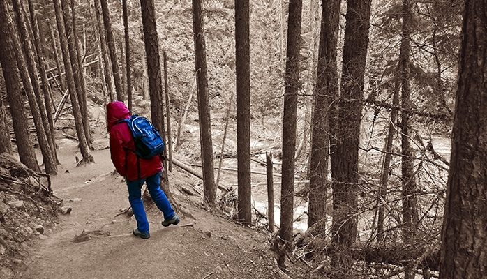 Hauts de Chartreuse : chasseurs bienvenus, randonneurs interdits ?